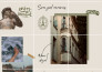 design instagram posts and canva tamplates for an appealing feed